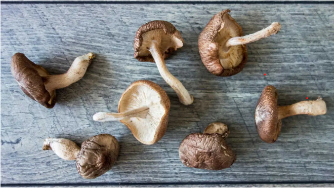 6 Benefits of Reishi Mushroom (Plus Side Effects and Dosage)